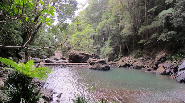 springbrook